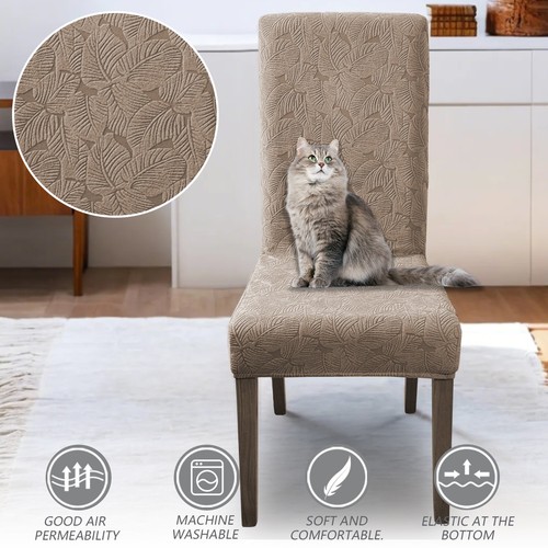 Elastic leaf pattern chair - elastic,