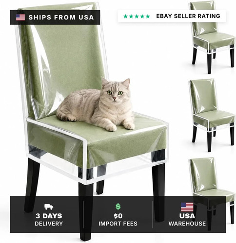 Pack clear plastic chair - 4,