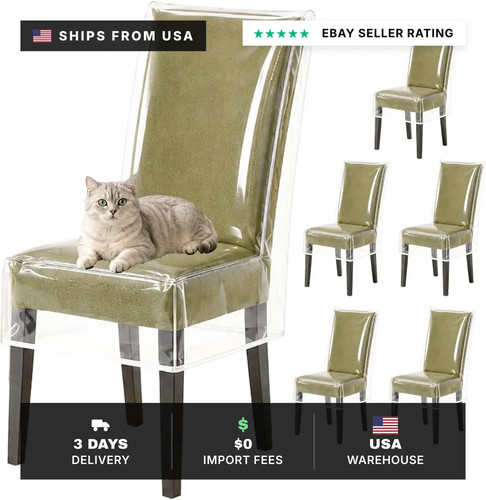 Pack clear plastic chair - 6,